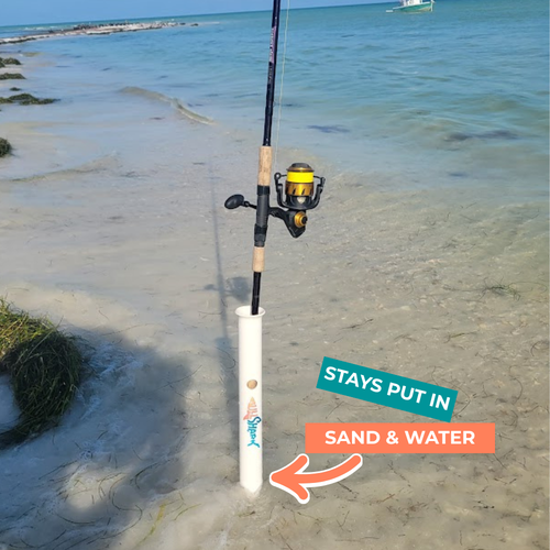 Bull Shark 2 Pack